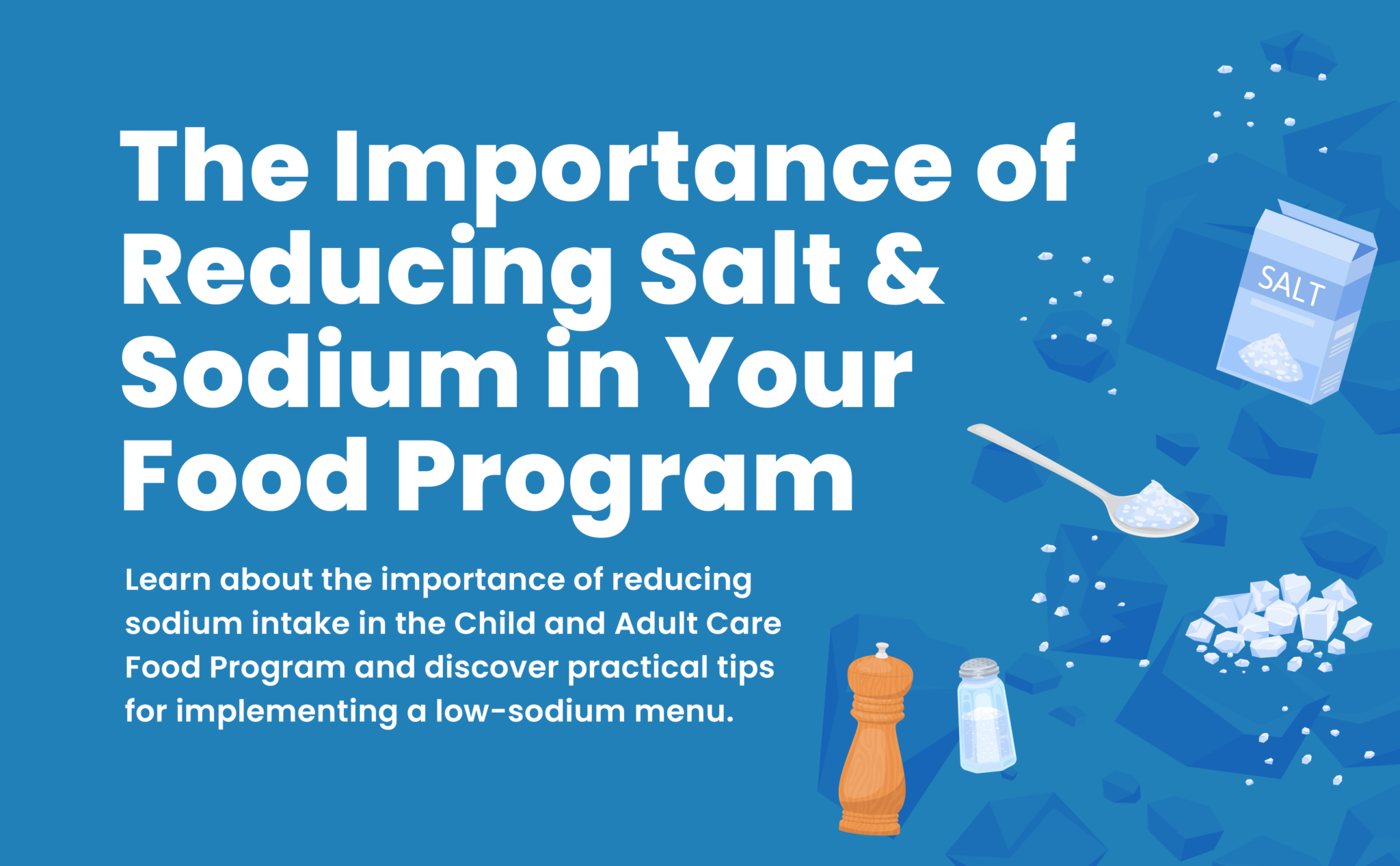 Reducing Salt and Sodium in the Food Program KidKare